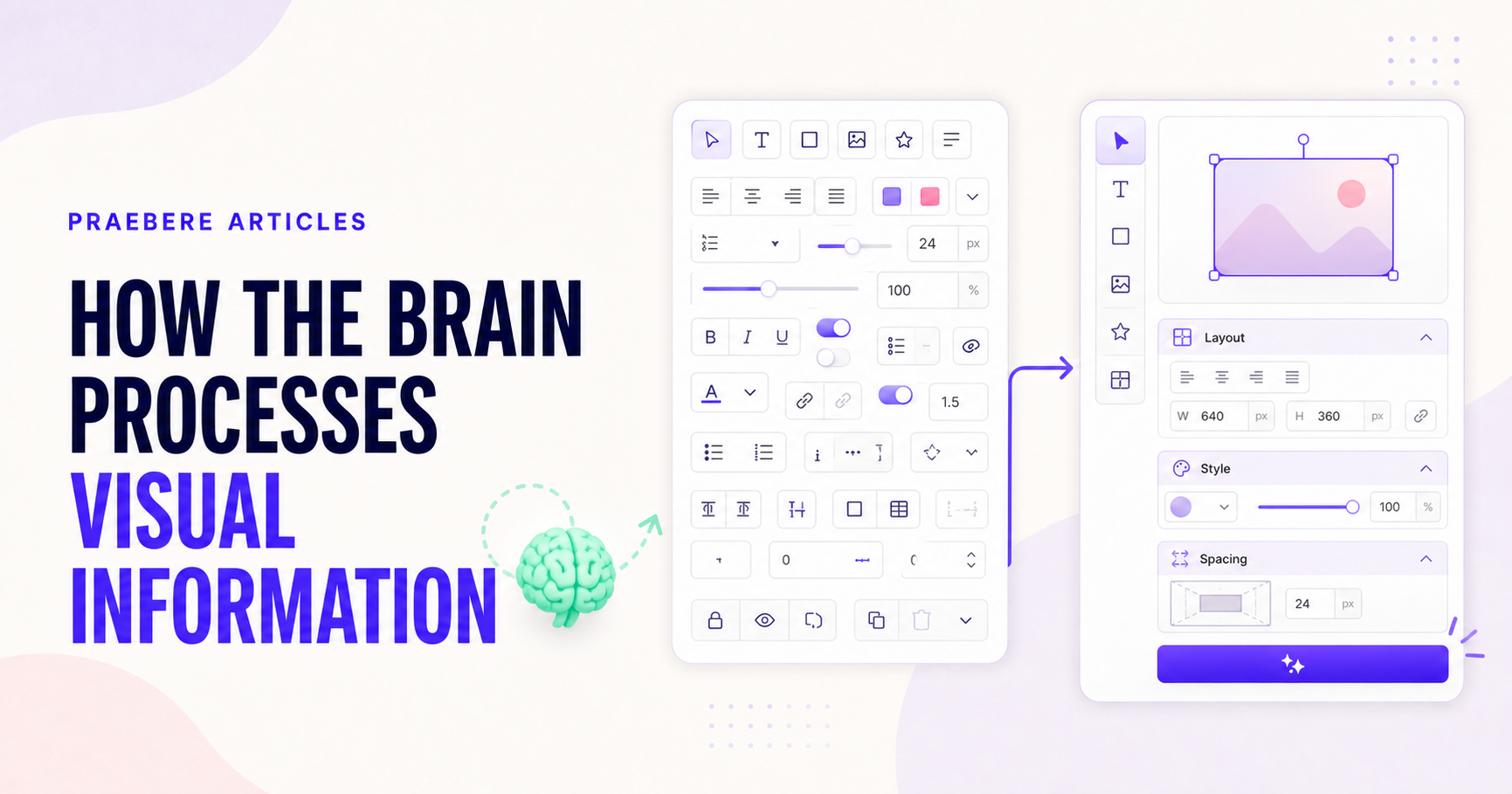 Illustrated cover for How the Brain Processes Visual Information